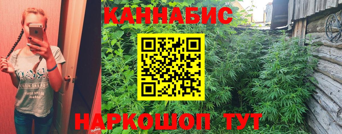 Чайковский  Конопля марихуана  Шишки марихуана планчик  Конопля индика  Вход с VPN 